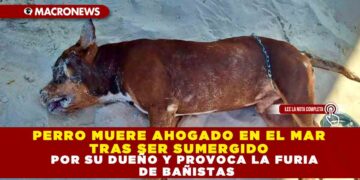 PERRO MUERE AHOGADO EN EL MAR TRAS SER SUMERGIDO POR SU DUEÑO Y PROVOCA LA FURIA DE BAÑISTAS