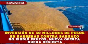 INVERSIÓN DE 30 MILLONES DE PESOS EN BARRERAS CONTRA SARGAZO NO RINDIÓ FRUTOS, NUEVA OFERTA QUEDA DESIERTA