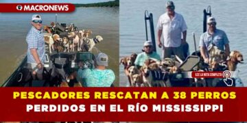 PESCADORES RESCATAN A 38 PERROS PERDIDOS EN EL RÍO DE MISSISSIPI