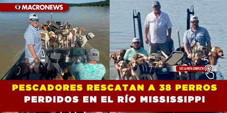 PESCADORES RESCATAN A 38 PERROS PERDIDOS EN EL RÍO DE MISSISSIPI