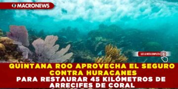 QUINTANA ROO APROVECHA EL SEGURO CONTRA HURACANES PARA RESTAURAR 45 KILÓMETROS DE ARRECIFES DE CORAL
