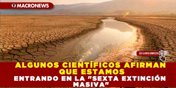 ALGUNOS CIENTIFÍCOS AFIRMAN QUE ESTAMOS ENTRANDO EN LA  «SEXTA EXTINCIÓN MASIVA»