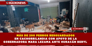 MÁS DE 200 PERROS RESGUARDADOS EN CACHORRILANDIA CON APOYO DE LA GOBERNADORA MARA LEZAMA ANTE HURACÁN BERYL