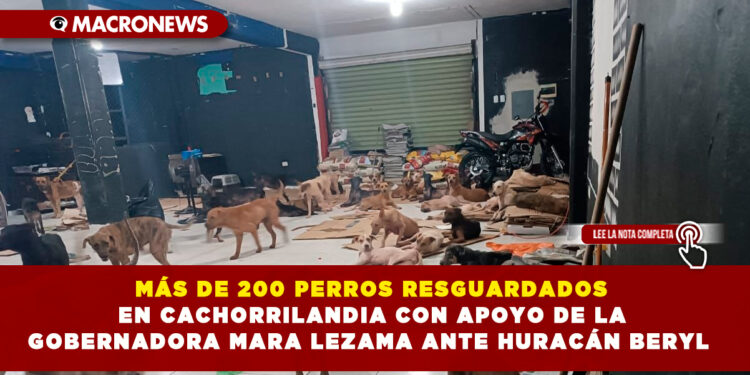 MÁS DE 200 PERROS RESGUARDADOS EN CACHORRILANDIA CON APOYO DE LA GOBERNADORA MARA LEZAMA ANTE HURACÁN BERYL