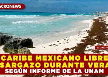 CARIBE MEXICANO LIBRE DE SARGAZO DURANTE VERANO SEGÚN INFORME DE LA UNAM