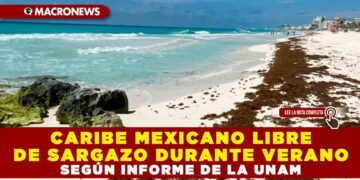 CARIBE MEXICANO LIBRE DE SARGAZO DURANTE VERANO SEGÚN INFORME DE LA UNAM