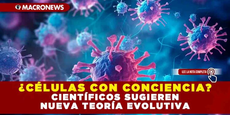 ¿CÉLULAS CON CONCIENCIA? CIENTÍFICOS SUGIEREN NUEVA TEORÍA EVOLUTIVA