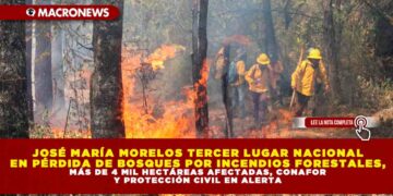 JOSÉ MARÍA MORELOS TERCER LUGAR NACIONAL EN PÉRDIDA DE BOSQUES POR INCENDIOS FORESTALES, MÁS DE 4 MIL HECTÁREAS AFECTADAS, CONAFOR Y PROTECCIÓN CIVIL EN ALERTA