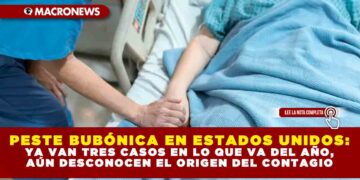 PESTE BUBÓNICA EN ESTADOS UNIDOS: YA VAN TRES CASOS EN LO QUE VA DEL AÑO, AÚN DESCONOCEN EL ORIGEN DEL CONTAGIO