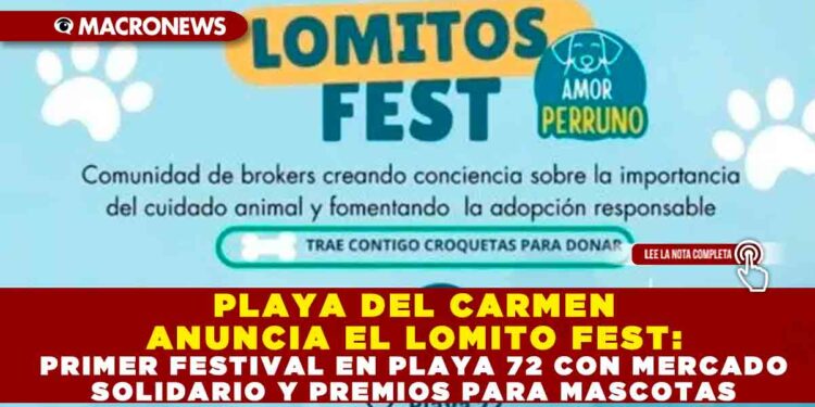 PLAYA DEL CARMEN ANUNCIA EL LOMITO FEST: PRIMER FESTIVAL EN PLAYA 72 CON MERCADO SOLIDARIO Y PREMIOS PARA MASCOTAS