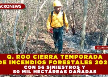 Q. ROO CIERRA TEMPORADA DE INCENDIOS FORESTALES 2024 CON 56 SINIESTROS Y 50 MIL HECTÁREAS DAÑADAS