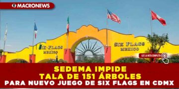 SEDEMA IMPIDE TALA DE 151 ÁRBOLES PARA NUEVO JUEGO DE SIX FLAGS EN CDMX