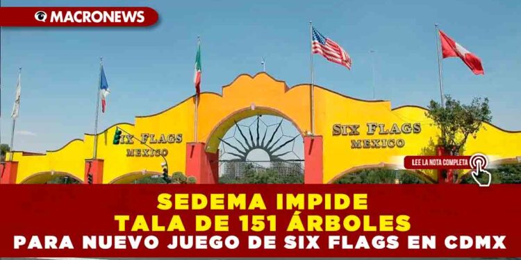 SEDEMA IMPIDE TALA DE 151 ÁRBOLES PARA NUEVO JUEGO DE SIX FLAGS EN CDMX