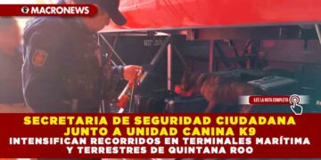 SECRETARIA DE SEGURIDAD CIUDADANA JUNTO A UNIDAD CANINA K9 INTENSIFICAN RECORRIDOS EN TERMINALES MARÍTIMA Y TERRESTRES DE QUINTANA ROO