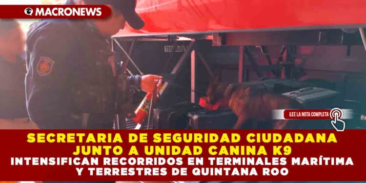 SECRETARIA DE SEGURIDAD CIUDADANA JUNTO A UNIDAD CANINA K9 INTENSIFICAN RECORRIDOS EN TERMINALES MARÍTIMA Y TERRESTRES DE QUINTANA ROO