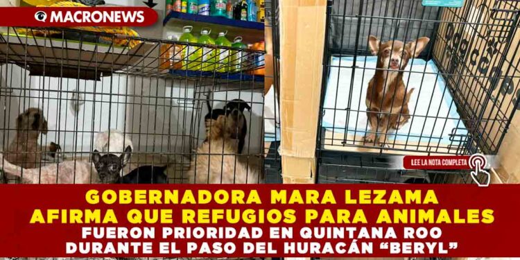 GOBERNADORA MARA LEZAMA AFIRMA QUE REFUGIOS PARA ANIMALES FUERON PRIORIDAD EN QUINTANA ROO DURANTE EL PASO DEL HURACÁN “BERYL”