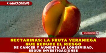NECTARINAS: LA FRUTA VERANIEGA QUE REDUCE EL RIESGO DE CÁNCER Y AUMENTA LA LONGEVIDAD, SEGÚN INVESTIGACIONES