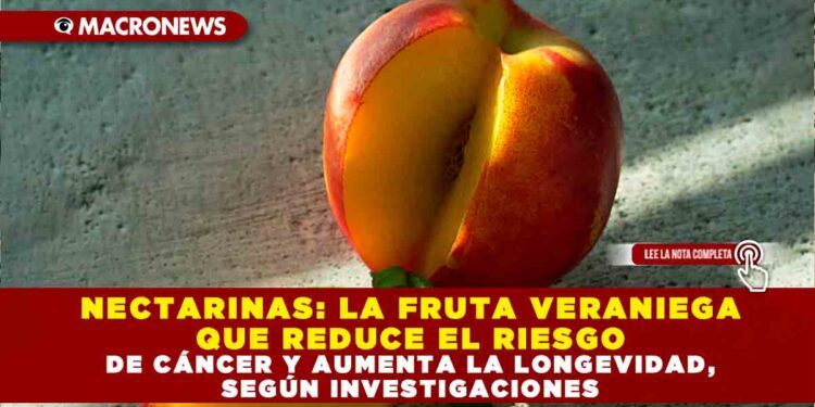 NECTARINAS: LA FRUTA VERANIEGA QUE REDUCE EL RIESGO DE CÁNCER Y AUMENTA LA LONGEVIDAD, SEGÚN INVESTIGACIONES