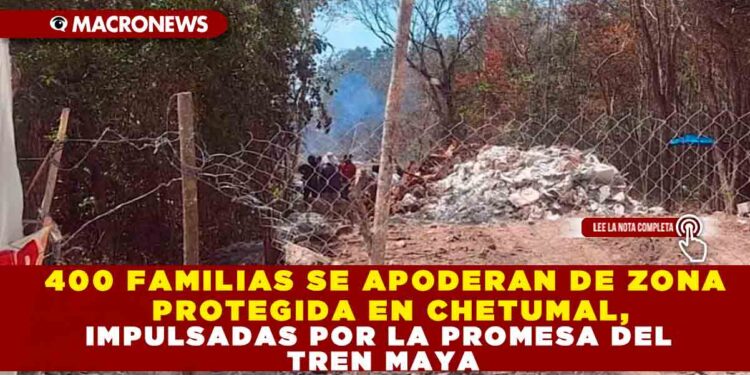 400 FAMILIAS SE APODERAN DE ZONA PROTEGIDA EN CHETUMAL, IMPULSADAS POR LA PROMESA DEL TREN MAYA