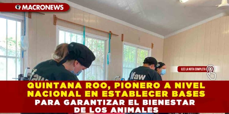 QUINTANA ROO, PIONERO A NIVEL NACIONAL EN ESTABLECER BASES PARA GARANTIZAR EL BIENESTAR DE LOS ANIMALES