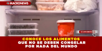 CONOCE LOS ALIMENTOS QUE NO SE DEBEN CONGELAR POR NADA DEL MUNDO