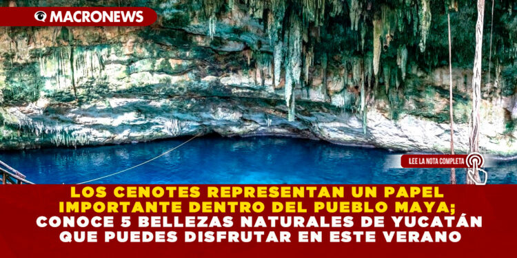 LOS CENOTES REPRESENTAN UN PAPEL IMPORTANTE DENTRO DEL PUEBLO MAYA; CONOCE 5 BELLEZAS NATURALES DE YUCATÁN QUE PUEDES DISFRUTAR EN ESTE VERANO
