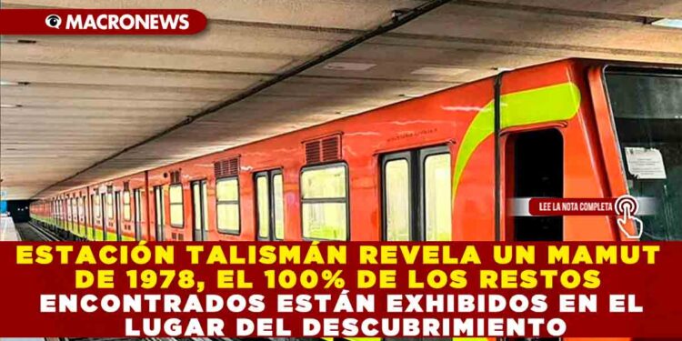 ESTACIÓN TALISMÁN REVELA UN MAMUT DE 1978, EL 100% DE LOS RESTOS ENCONTRADOS ESTÁN EXHIBIDOS EN EL LUGAR DEL DESCUBRIMIENTO
