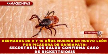 HERMANOS DE 9 Y 16 AÑOS MUEREN EN NUEVO LEÓN POR PICADURA DE GARRAPATA; SECRETARÍA DE SALUD CONFIRMA CASO DE RICKETTSIOSIS