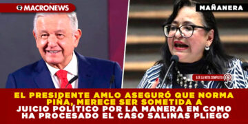 EL PRESIDENTE AMLO ASEGURÓ QUE NORMA PIÑA, MERECE SER SOMETIDA A JUICIO POLÍTICO POR LA MANERA EN COMO HA PROCESADO EL CASO SALINAS PLIEGO