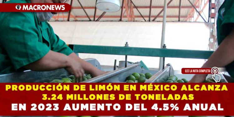 PRODUCCIÓN DE LIMÓN EN MÉXICO ALCANZA 3.24 MILLONES DE TONELADAS EN 2023 AUMENTO DEL 4.5% ANUAL