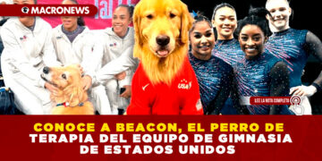 CONOCE A BEACON, EL PERRO DE TERAPIA DEL EQUIPO DE GIMNASIA DE ESTADOS UNIDOS