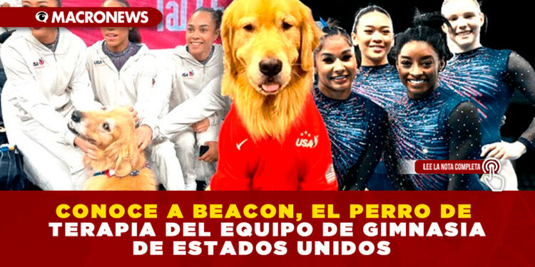 CONOCE A BEACON, EL PERRO DE TERAPIA DEL EQUIPO DE GIMNASIA DE ESTADOS UNIDOS
