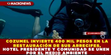 COZUMEL INVIERTE 400 MIL PESOS EN LA RESTAURACIÓN DE SUS ARRECIFES, HOTEL PRESIDENTE Y COMUNIDAD SE UNEN POR EL MEDIO AMBIENTE