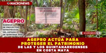 AGEPRO ACTÚA PARA PROTEGER EL PATRIMONIO DE LAS Y LOS QUINTANARROENSES EN COSTA MAYA