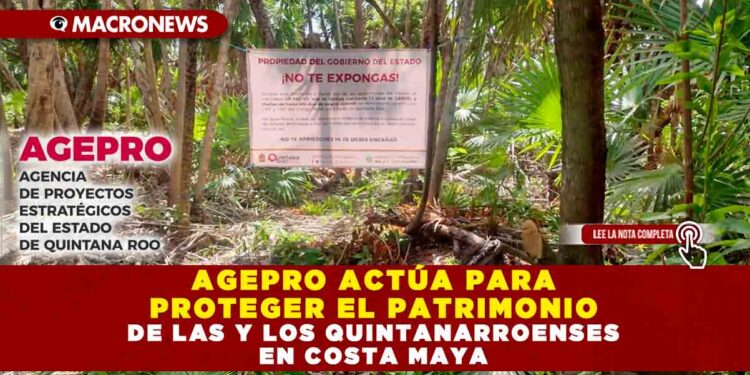 AGEPRO ACTÚA PARA PROTEGER EL PATRIMONIO DE LAS Y LOS QUINTANARROENSES EN COSTA MAYA