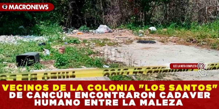 VECINOS DE LA COLONIA «LOS SANTOS» DE CANCÚN ENCONTRARON CADAVER HUMANO ENTRE LA MALEZA