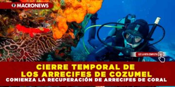 CIERRE TEMPORAL DE LOS ARRECIFES DE COZUMEL, COMIENZA LA RECUPERACIÓN DE ARRECIFES DE CORAL