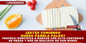 ¿ESTÁS COMIENDO QUESO PANELA FALSO? PROFECO IDENTIFICA 8 MARCAS CON ALTO CONTENIDO DE GRASA Y QUE EN REALIDAD NO SON QUESO