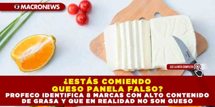 ¿ESTÁS COMIENDO QUESO PANELA FALSO? PROFECO IDENTIFICA 8 MARCAS CON ALTO CONTENIDO DE GRASA Y QUE EN REALIDAD NO SON QUESO