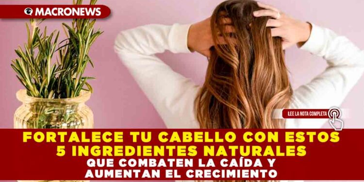 FORTALECE TU CABELLO CON ESTOS 5 INGREDIENTES NATURALES QUE COMBATEN LA CAÍDA Y AUMENTAN EL CRECIMIENTO