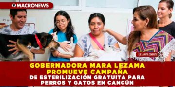 GOBERNADORA MARA LEZAMA PROMUEVE CAMPAÑA DE ESTERILIZACIÓN GRATUITA PARA PERROS Y GATOS EN CANCÚN