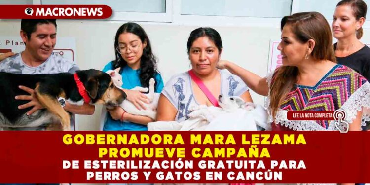 GOBERNADORA MARA LEZAMA PROMUEVE CAMPAÑA DE ESTERILIZACIÓN GRATUITA PARA PERROS Y GATOS EN CANCÚN