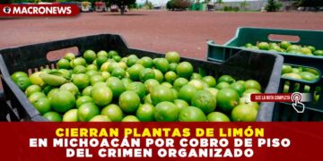CIERRAN PLANTAS DE LIMÓN EN MICHOACÁN POR COBRO DE PISO DEL CRIMEN ORGANIZADO