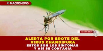 ALERTA POR BROTE DEL VIRUS CHANDIPURA; ESTOS SON LOS SÍNTOMAS Y ASÍ SE CONTAGIA