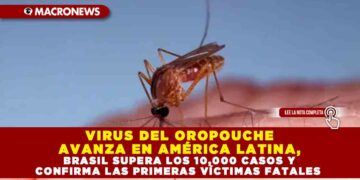 VIRUS DEL OROPOUCHE AVANZA EN AMÉRICA LATINA, BRASIL SUPERA LOS 10,000 CASOS Y CONFIRMA LAS PRIMERAS VÍCTIMAS FATALES
