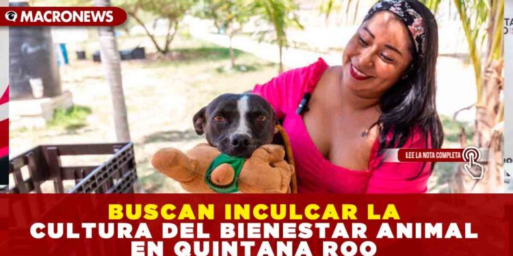 BUSCAN INCULCAR LA CULTURA DEL BIENESTAR ANIMAL EN QUINTANA ROO