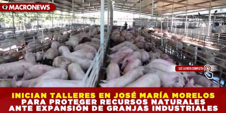 INICIAN TALLERES EN JOSÉ MARÍA MORELOS PARA PROTEGER RECURSOS NATURALES ANTE EXPANSIÓN DE GRANJAS INDUSTRIALES