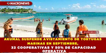 AKUMAL SUSPENDE AVISTAMIENTO DE TORTUGAS MARINAS EN SEPTIEMBRE, 32 COOPERATIVAS Y 50% DE CAPACIDAD OPERATIVA