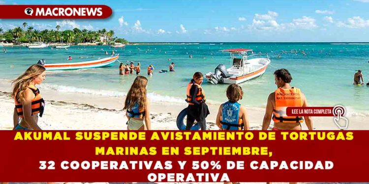 AKUMAL SUSPENDE AVISTAMIENTO DE TORTUGAS MARINAS EN SEPTIEMBRE, 32 COOPERATIVAS Y 50% DE CAPACIDAD OPERATIVA