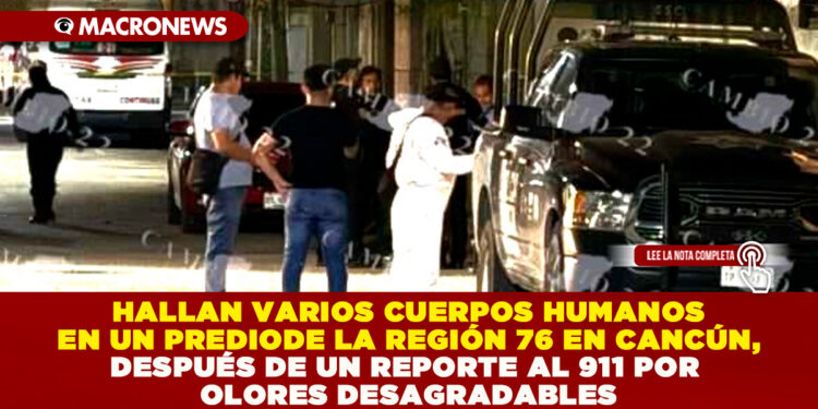 HALLAN VARIOS CUERPOS HUMANOS EN UN PREDIO DE LA REGIÓN 76 EN CANCÚN, DESPUÉS DE UN REPORTE AL 911 POR OLORES DESAGRADABLES